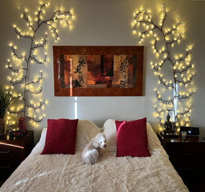 Willow Vine Lights with Remote Control