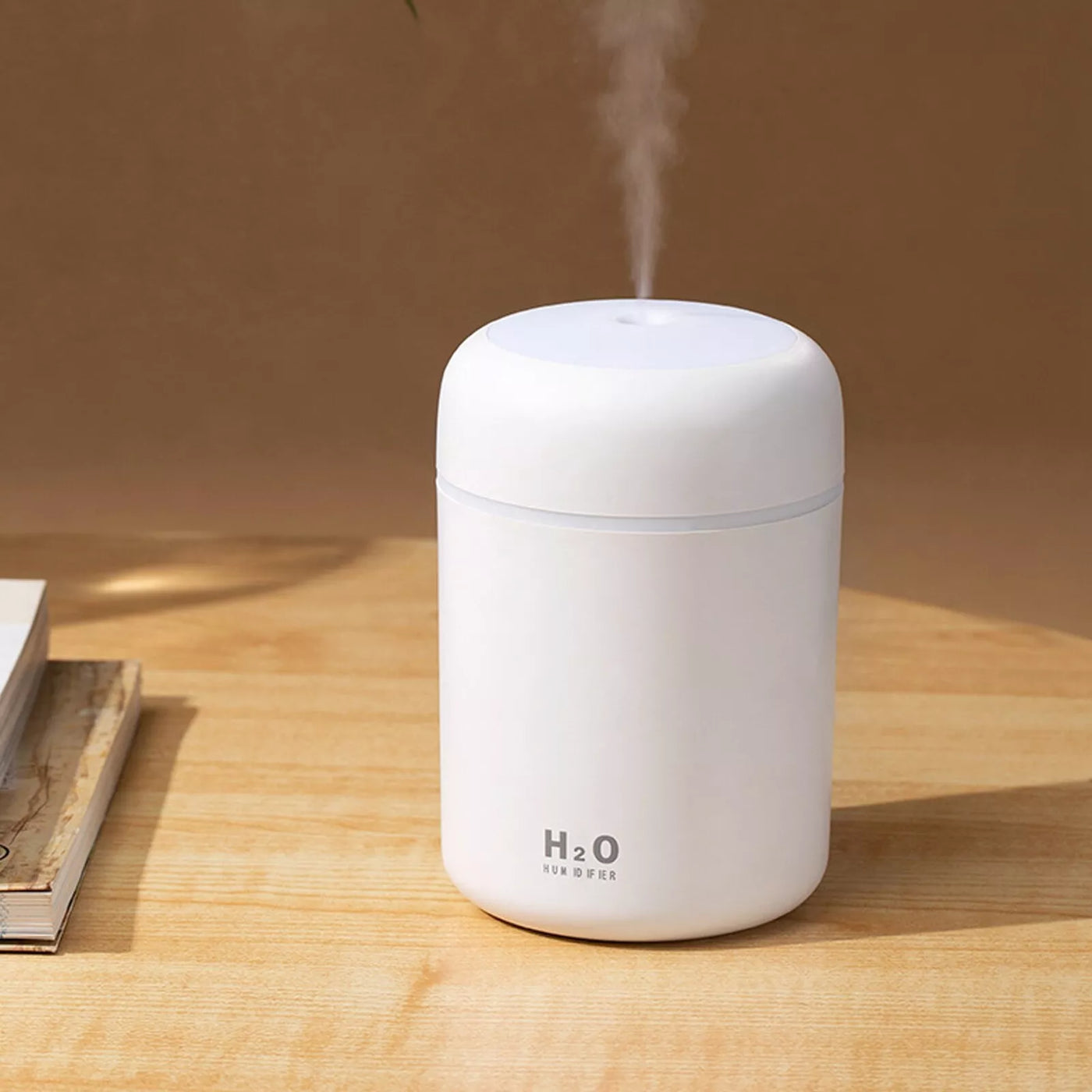 H2O Air Humidifier